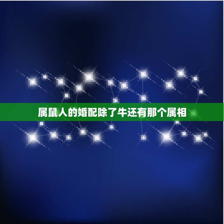 属鼠人的婚配除了牛还有那个属相(寻找配对)