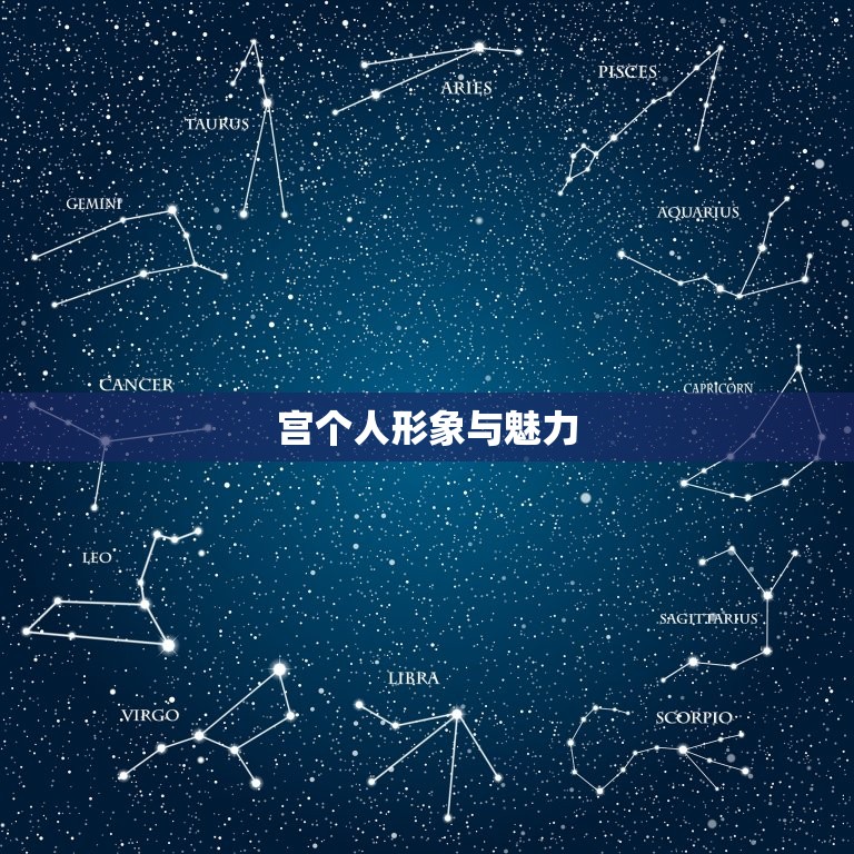 金星落在狮子座十二宫(影响你的爱情和财富)  第1张