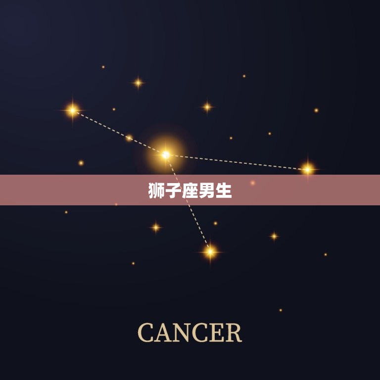 爱狮子女的星座男(独具眼光独占爱情天空)  第1张