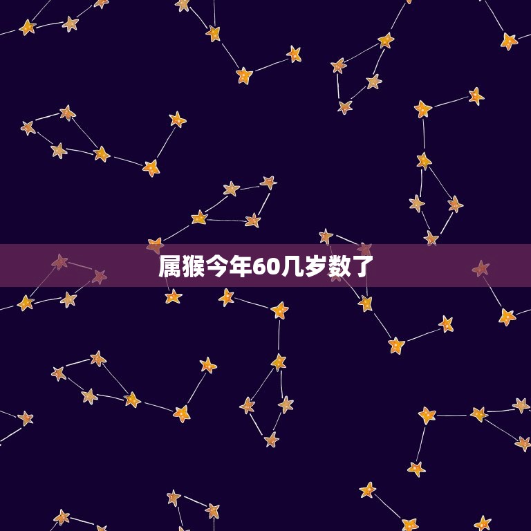 属猴今年60几岁数了(猴年老猴换新颜如何应对属猴人的六十岁)  第3张