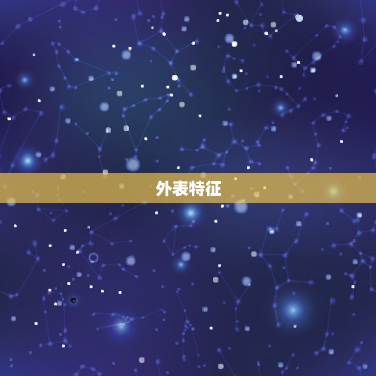 狮子座渣男玩你的表现(如何识别)  第1张
