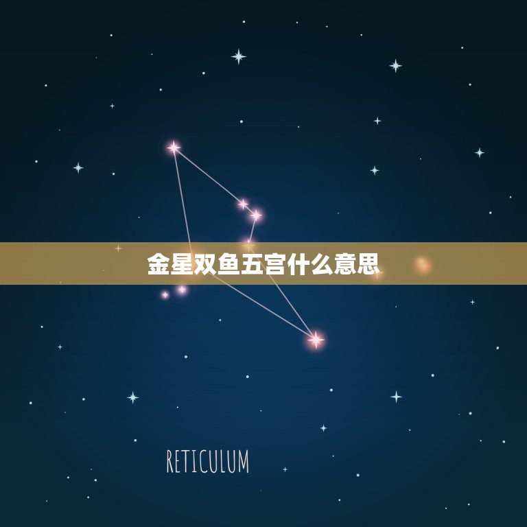 金星双鱼五宫什么(探寻你的浪漫情感世界)  第3张