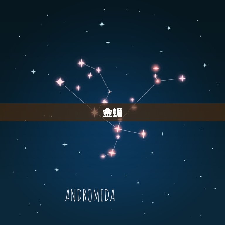 什么东西聚财而且招财(介绍财运神器)