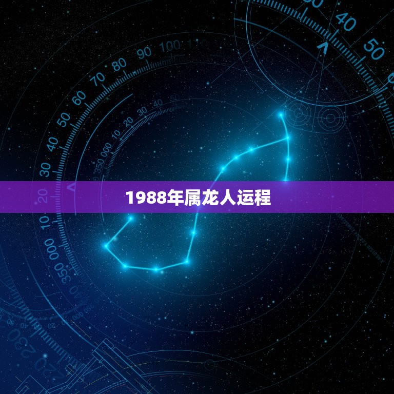 1988年属龙人运程(如何把握机遇迎接挑战)  第3张