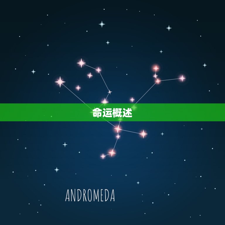 属猪女辰时出生好不好(命运如何)  第1张