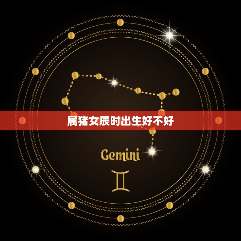 属猪女辰时出生好不好(命运如何)  第3张