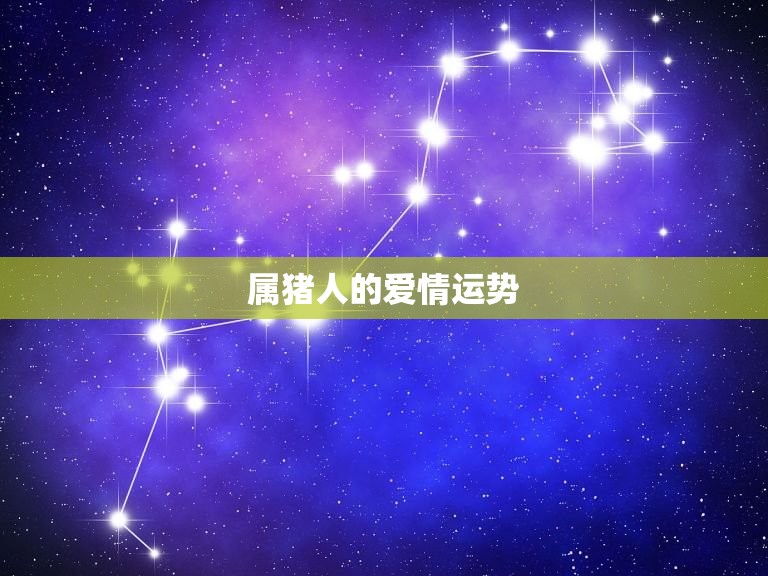 2023年属猪的正缘(迎来真爱的机会)