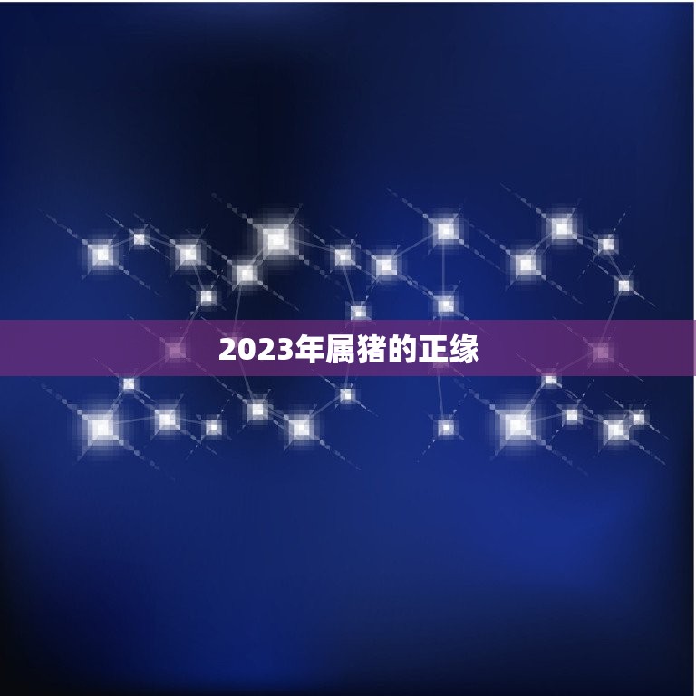 2023年属猪的正缘