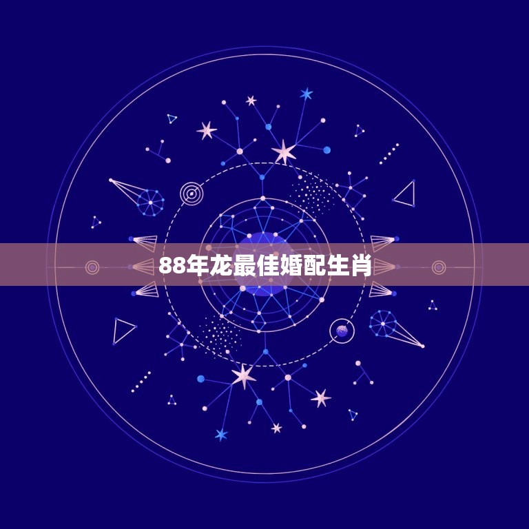 88年龙婚配生肖(介绍与哪些生肖最配)  第3张