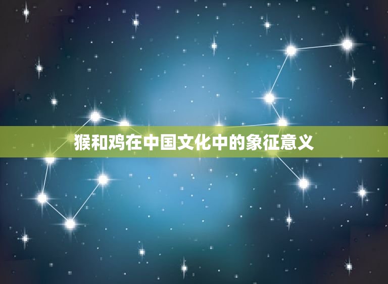 猴遇鸡定大吉是为什么(介绍猴鸡相遇的神秘力量)