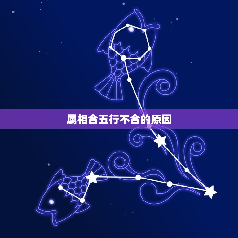 属相合五行不合会怎样(如何避免冲突)  第2张