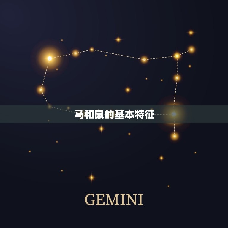 属性的般配婚姻马和鼠(星座配对中的组合)