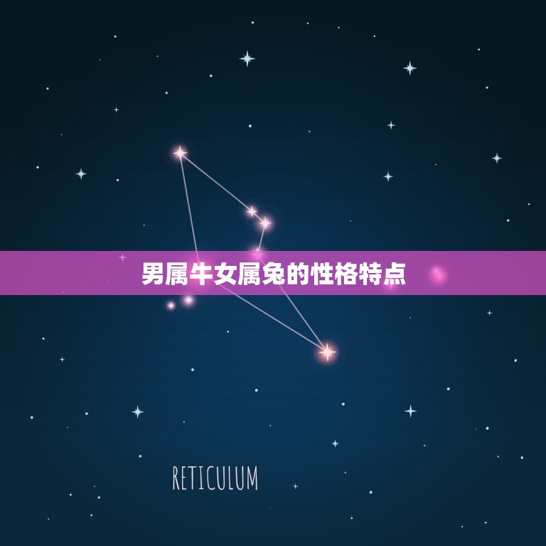 男属牛女属兔婚姻配吗(如何介绍这对组合)