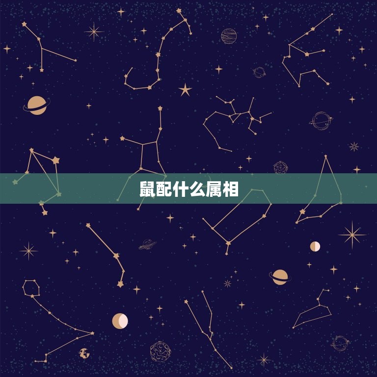 上等婚姻属相配对表格(如何选择配偶)  第1张