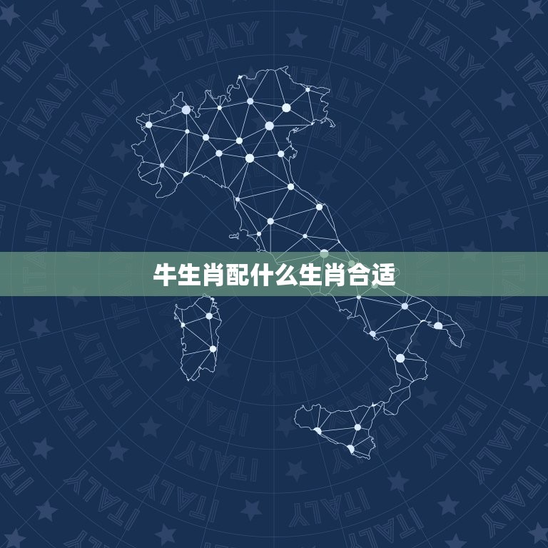牛生肖配什么生肖合适(十二生肖配对指南)  第3张
