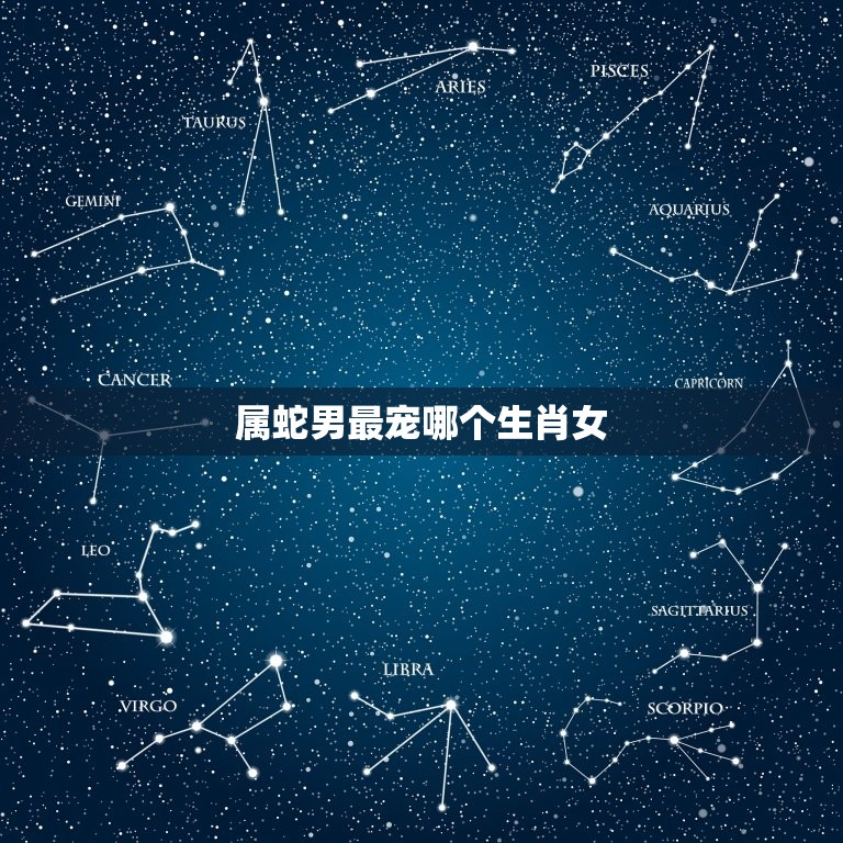 属蛇男最宠哪个生肖女(介绍蛇男的恋爱心理)  第3张