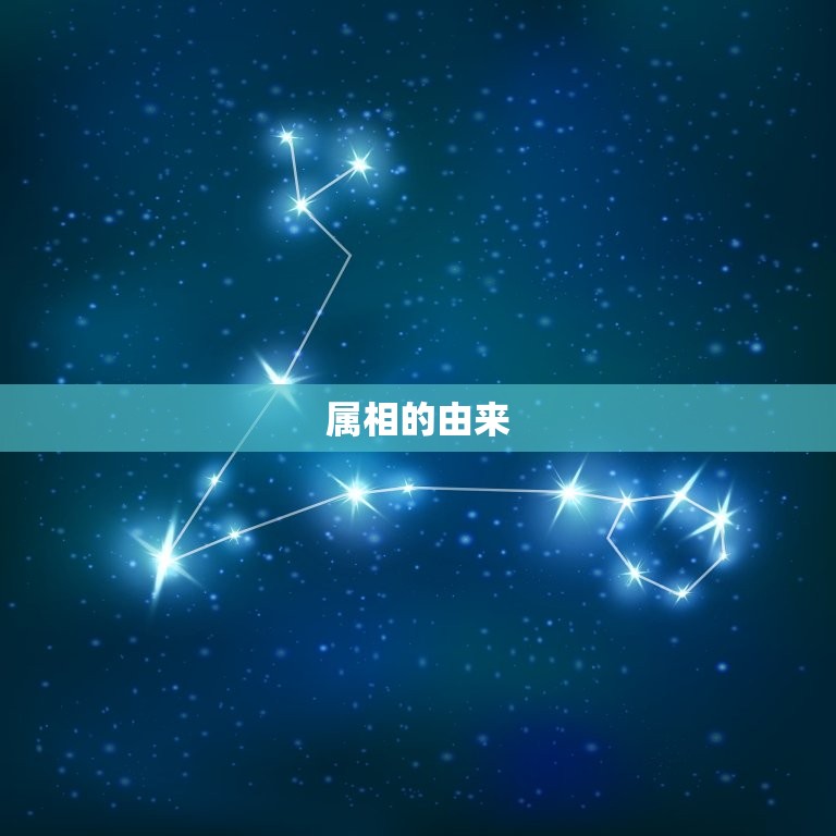 2029年是什么生肖(介绍2029年生肖你属什么)