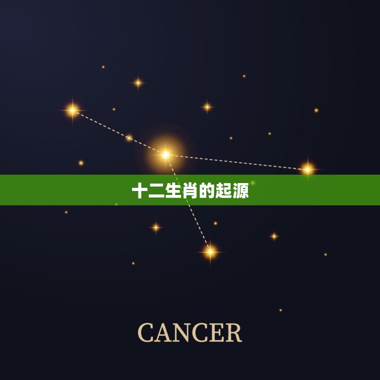 农历的生肖是哪个生肖(介绍中国十二生肖的传说与文化)