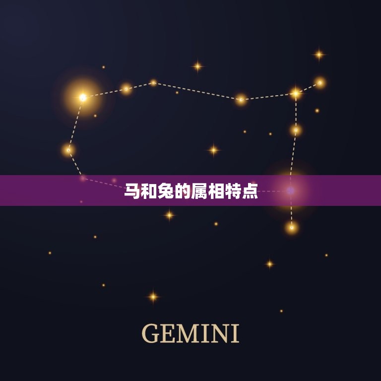 属相婚配马跟兔合婚吗(马兔姻缘如何)