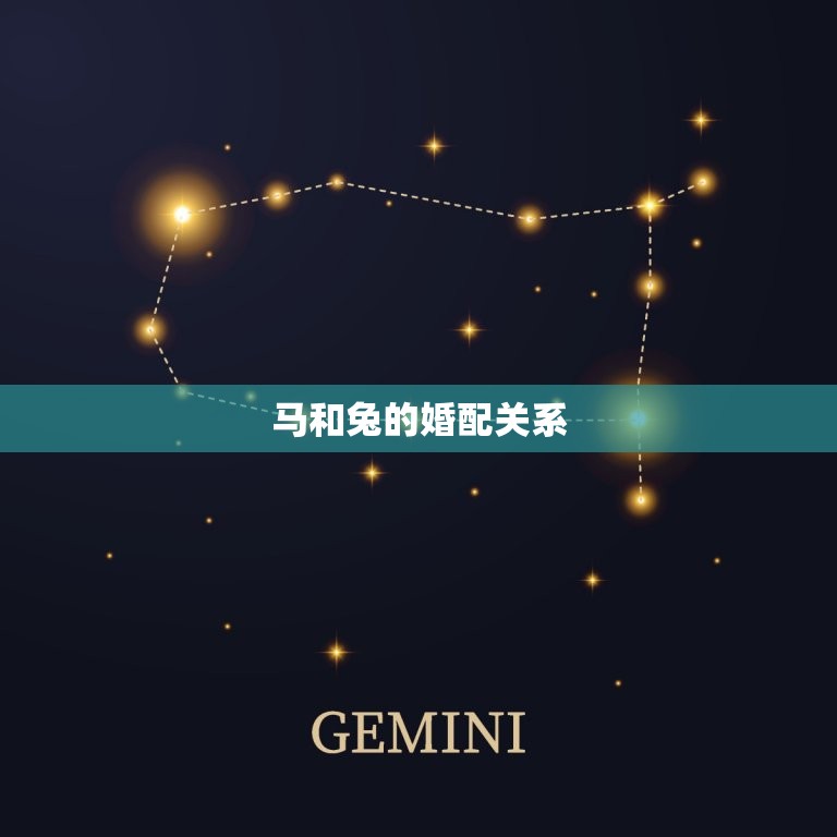 属相婚配马跟兔合婚吗(马兔姻缘如何)  第2张