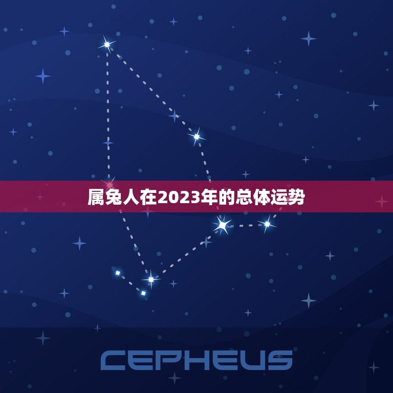 属兔人在2023年的总体运势