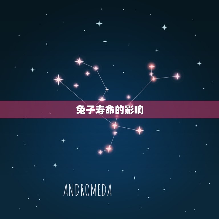 兔子最多能活几年寿命(介绍兔子的寿命到底有多长)