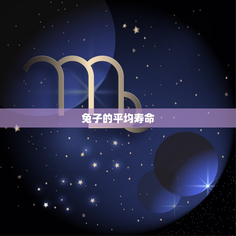 兔子最多能活几年寿命(介绍兔子的寿命到底有多长)  第2张
