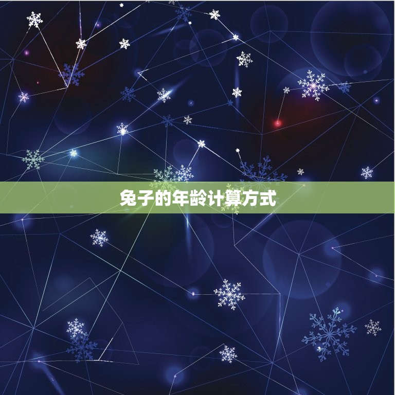 属性兔子今年多大岁数(介绍这只兔子的年龄到底有多大)