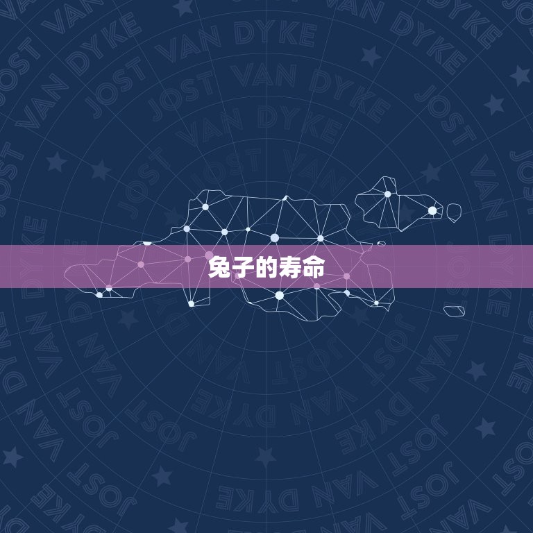 属性兔子今年多大岁数(介绍这只兔子的年龄到底有多大)  第2张