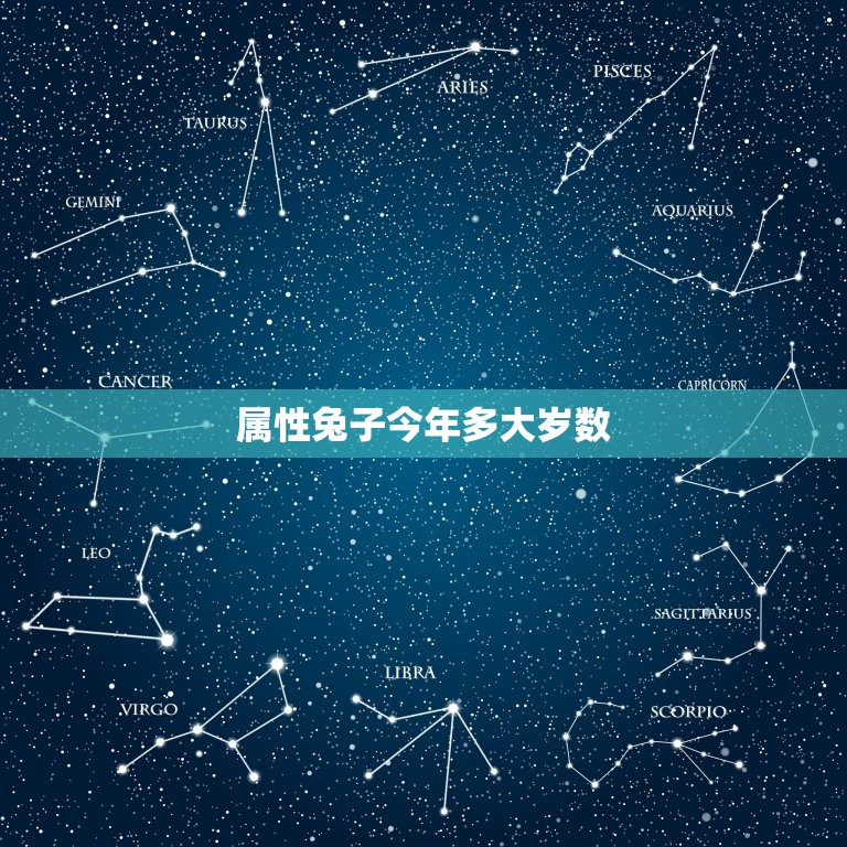 属性兔子今年多大岁数(介绍这只兔子的年龄到底有多大)  第3张