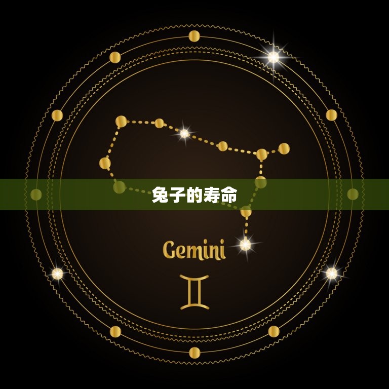 兔子的寿命一般多少年(了解兔子的寿命及延长寿命的方法)