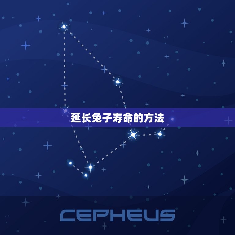 兔子的寿命一般多少年(了解兔子的寿命及延长寿命的方法)  第2张
