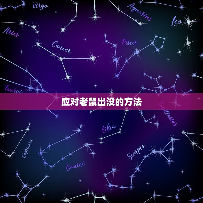 大清早看见老鼠好不好(如何应对突如其来的老鼠出没)  第2张
