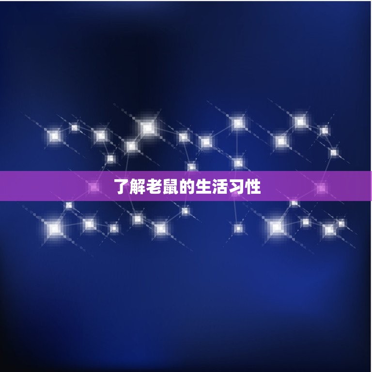 家里有老鼠有什么办法(快速有效的驱鼠方法)