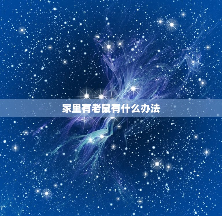 家里有老鼠有什么办法(快速有效的驱鼠方法)  第3张