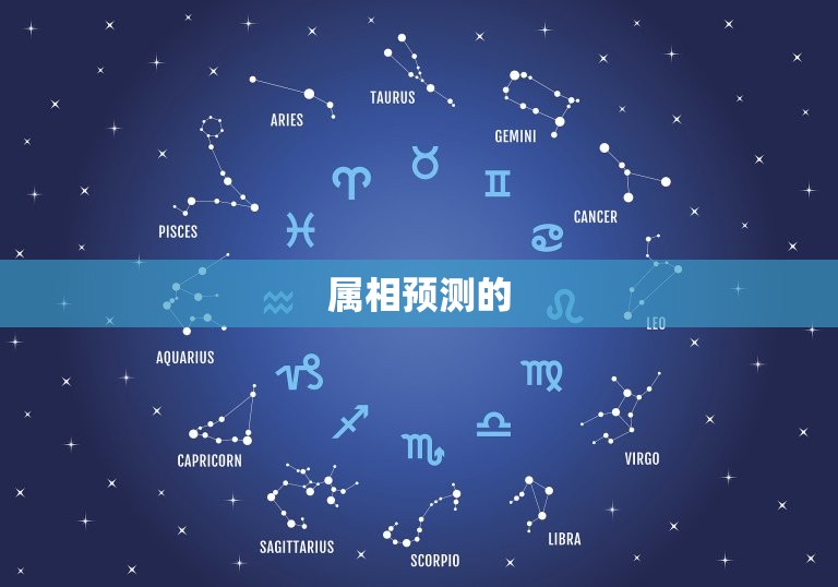 男娃属鼠好嘛还是女孩(如何预测宝宝性别)
