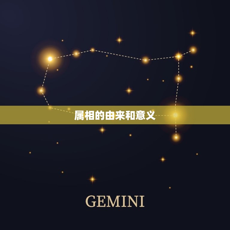 请问属鼠的今年多大了(如何算出你的属相年龄)  第1张