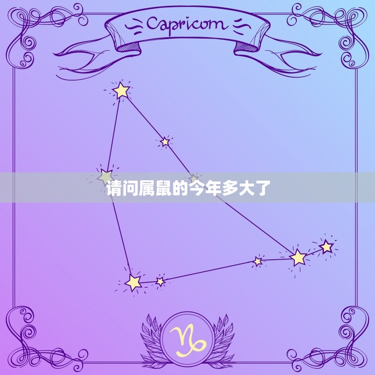 请问属鼠的今年多大了(如何算出你的属相年龄)  第3张