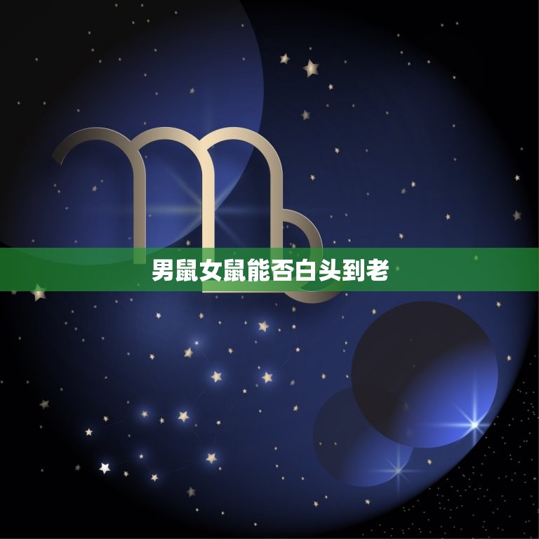 男鼠女鼠能白头到老吗(介绍鼠年夫妻的幸福方法)