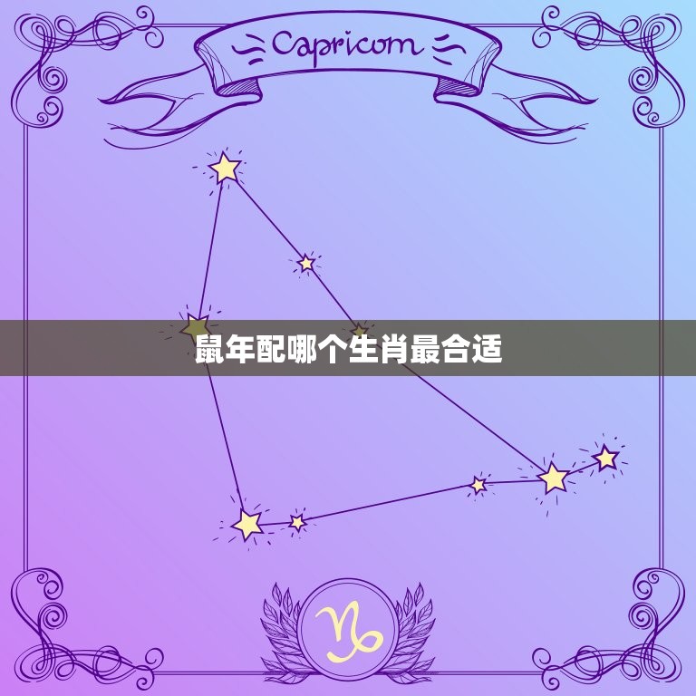 鼠年配哪个生肖最合适(十二生肖搭配指南)