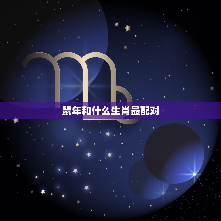 鼠年和什么生肖最配对(介绍十二生肖搭档)