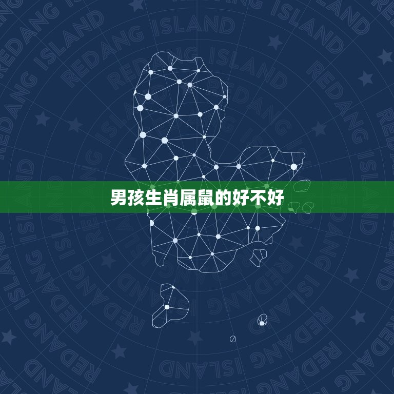 男孩生肖属鼠的好不好(鼠年出生的男孩有哪些优点)  第3张