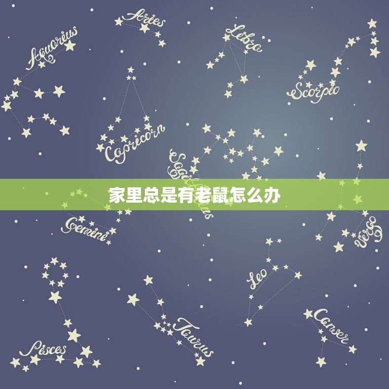 家里总是有老鼠怎么办(快速有效的驱鼠方法)  第3张