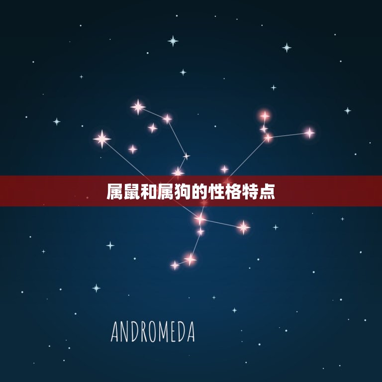 属鼠和属狗的人合不合(如何相处)