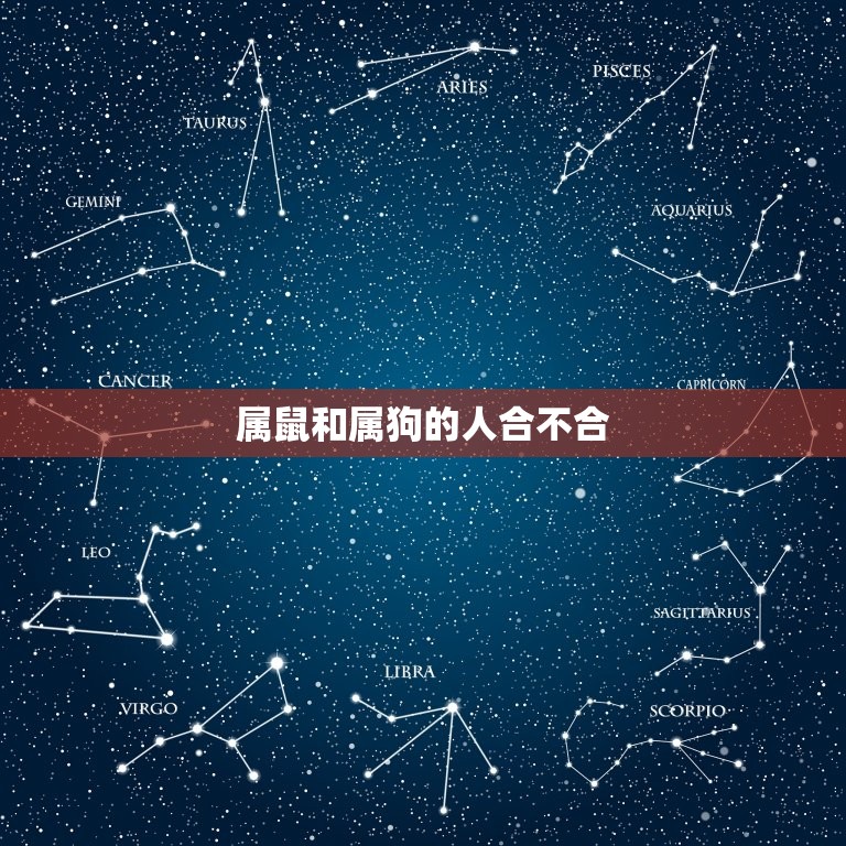 属鼠和属狗的人合不合