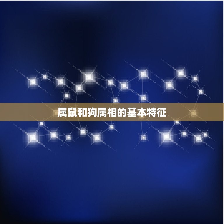 属鼠和狗属相合不合财(财运相克还是相生)