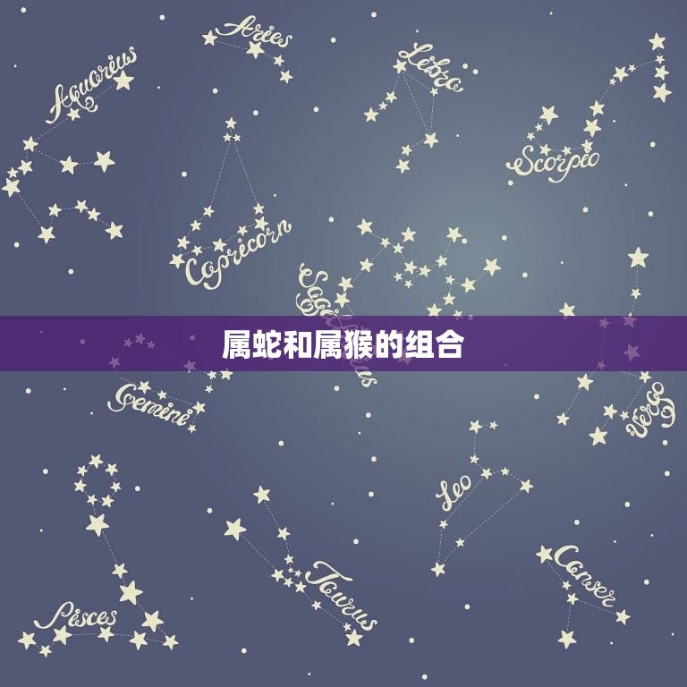属蛇的配对姻缘猴(组合猴子的机智与蛇的智慧)  第2张