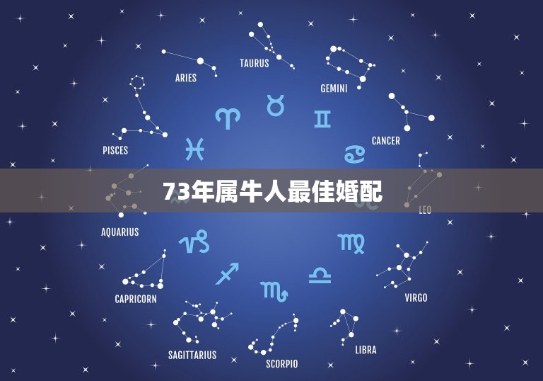 73年属牛人婚配(如何选择最适合的伴侣)  第3张