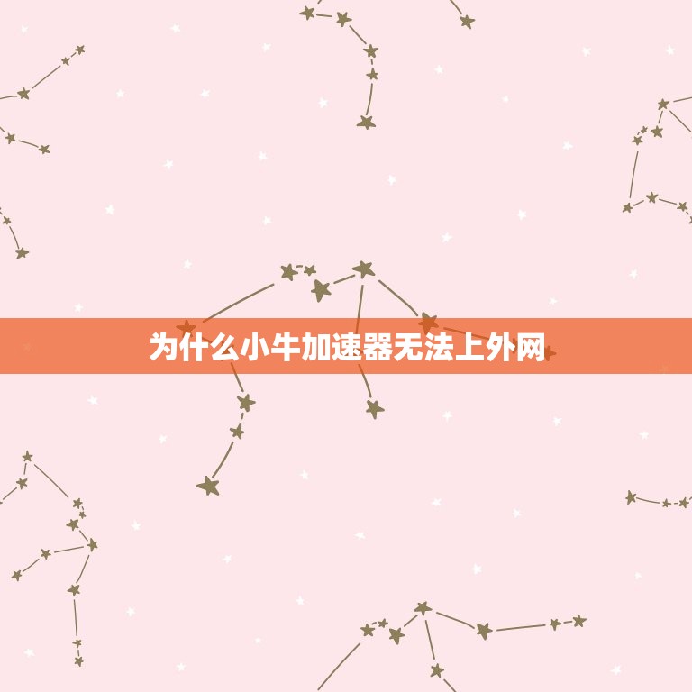 小牛加速器怎么上外网(解决方法大介绍)  第2张