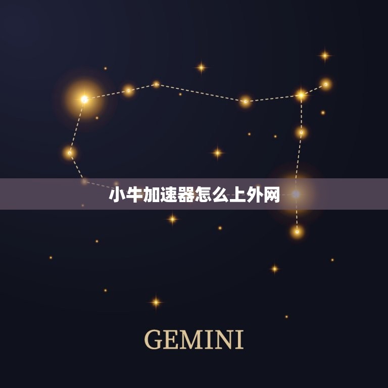 小牛加速器怎么上外网(解决方法大介绍)  第3张